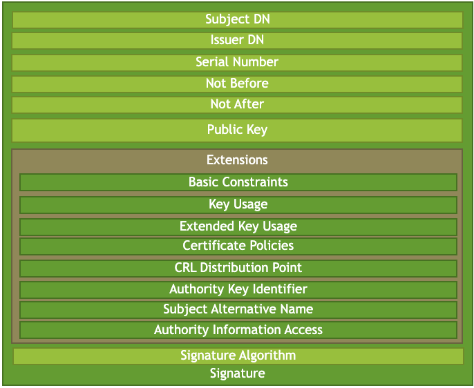 Right, a detailed listing of several possible elements of a PKI certificate.